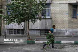 وزش تندباد لحظه‌ای در تهران/ ماندگاری هوای گرم طی هفته آینده