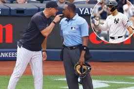 Yankees' fans showing support during Aaron Boone's ejection