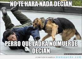 Resultado de imagen para memes chistosos