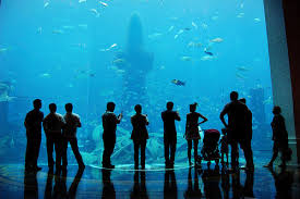 Image result for dubai tourism places
