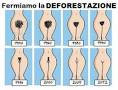 Depilazione intima: maschile e femminile per pube ed inguine