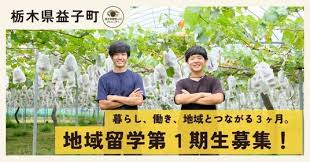 CREA WEB - News update