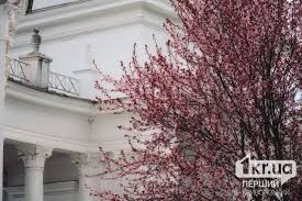 погода кривой рог