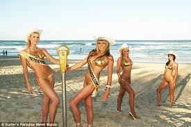 Image result for Gold coast meter maids