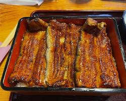 つきじ宮川本廛 うな重 特上の画像