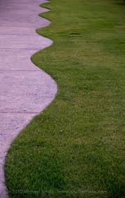 Image result for curved line photography