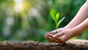 2026 Earth Day Events in Northeast Ohio -