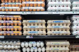 1.5M cartons of eggs recalled in six states for possible salmonella contamination