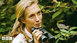 Jane Goodall’s Lasting Legacy of Hope and Discovery