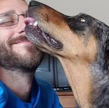 Have anyone noticed drones flying over your groups while you ...