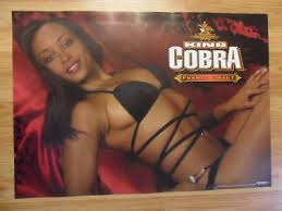 Image result for black cobra with sweet girl