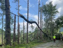 Tornado cuts a 15-mile path in New York’s Southern Tier