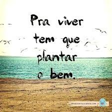 Resultado de imagem para felicidade frases