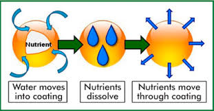 Image result for http://dramarnathgiri.blogspot.in/