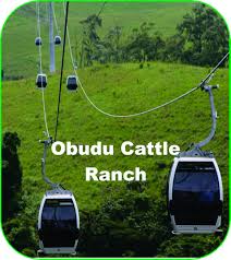 Image result for obudu cattle ranch