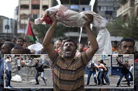 Image result for gaza jpg dead children