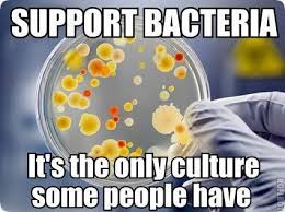 Supreme 11 brilliant quotes about bacteria image German ... via Relatably.com