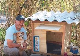 Caminhoneiro constrói mais de 1,7 mil casinhas para proteger cães e gatos do frio