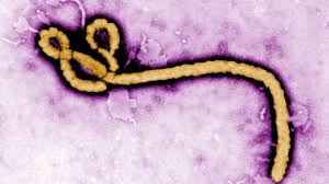 Ebola: è allerta sanitaria internazionale