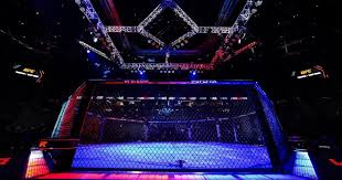 ActuMMA - News update