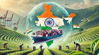 From Cups At Home To Second-Largest Exporter: India Exports 254 Million Kg Tea, Surpasses Sri Lanka