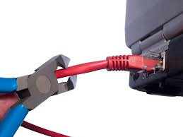 [images?q=tbn:ANd9GcRPDtjfAZCQIfAqwWe9TnUCtlWiolXhx 8rA_piNhRc451sSiDMX]
