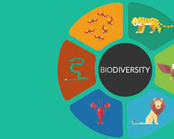 Gambar Biological diversity
