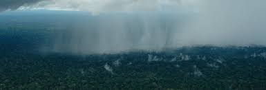 Amazônia enfrenta novo El Niño sem se recuperar de efeitos da seca de 2023-24