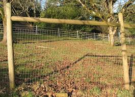 Image result for non climb fence