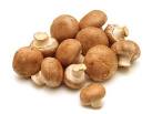 Champignons braun