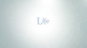 Image result for life wallpaper