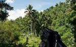 Mods - Crysis - Mod DB