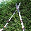 Silverline 6336Telescopic Lopping Garden Shears Pruning Tree