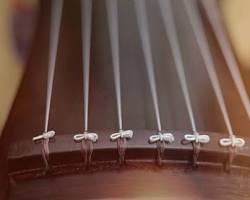 closeup of hands playing the Gayageum, emphasizing the artistry and skill involved in Gugak 이미지