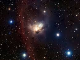 Image result for ngc 1566