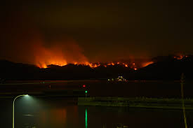 Picture of Ōfunato wildfire