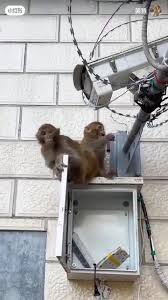 ຂື້ນເບີ່ງກ່ອນ ...