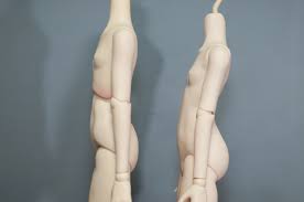 Résultat de recherche d'images pour "ちっぱい"