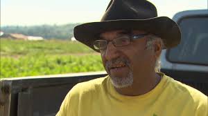 God&#39;s Little Acre farmer Jas Singh says a lack of volunteers has left crops rotting. Aug. 13, 2013. (CTV) - image