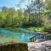 Ichetucknee Springs State Park