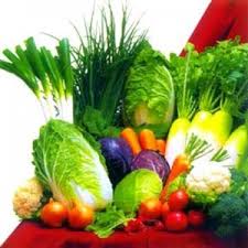 Hasil gambar untuk green diet