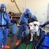 Lexington Fire Department holds decontamination training for furry ...