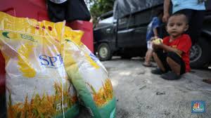 250 Ribu Ton Beras Murah Segera Diguyur Pemerintah, Kapan?