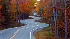 Image result for winding road images