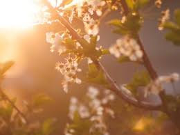 Córdoba: ¡Pronóstico Extendido! ¿Calor, Lluvia o Sol en Primavera? - Imagen principal del artículo