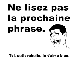 Résultat de recherche d'images pour "phrase drole"