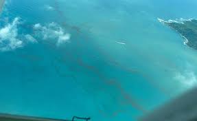 The Tico Times - News update