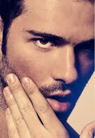 Image result for Damien Lefebvre gay images