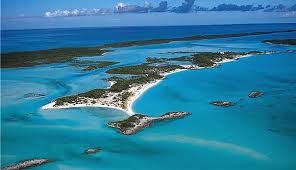 images?q=tbn:ANd9GcRQH1ku_Vkac26zl1MJYQ3M7H765l21WE3LLQC0ks6ygnMKxjj6_A