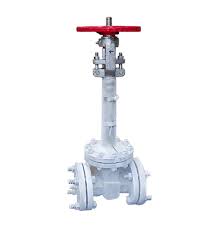 Valves for Gas Processing and LNG | Ladish Valves